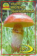 Мицелий грибов Насіння країни Масленок 10 г DI, код: 7718792