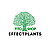 Fito shop effect plants