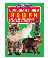 Книга "Большая книга. Кошки" (рус) [tsi139456-TCI]