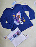 Дитячий реглан кофта лонгслів Frozen для дівчинки р.98-104 - 2-4 роки, фото 2