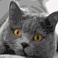 Картина по номерам "Серый котик" [tsi215535-TSI]