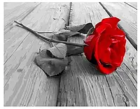Картина Рисование по номерам Цветы Набор для росписи Красная роза 40x50 Rainbow Art GX21942