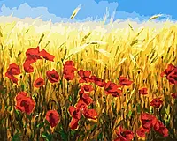 Картина Рисование по номерам Украинская тематика Пейзаж Пшеница и маки 40x50 Rainbow Art GX45506