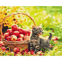 Картина по номерам "Яблочный котик" [tsi203557-ТСІ]
