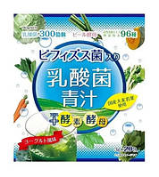Аодзира с молочнокислыми и бифидобактериями, ферментами и дрожжами, вкус йогурта YUWA Lactic Acid Aodjiru