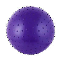 Мяч для фитнеса "Gymnastic Ball", фиолетовый (65 см) [tsi204406-ТCІ]