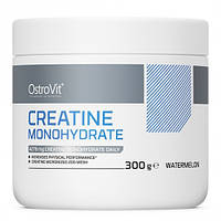 Креатин моногидрат OstroVit CREATINE Monohydrate 300 грамм с вкусовыми добавками