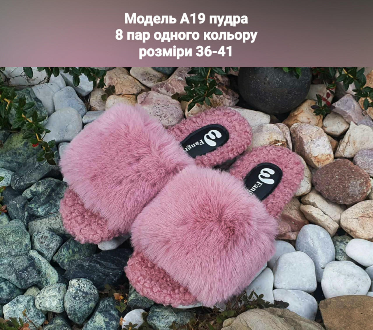 Жіночі тапочки