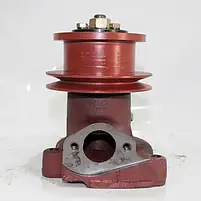 Насос водяний помпа Д-240 МТЗ-80, фото 2