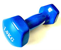 Гантель для фитнеса 1 кг (1 шт) обрезиненная синий