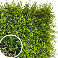 Искусственная трава Sitygreen sport 30мм ширина рулона 1м