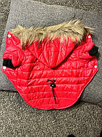 Куртка размер L(длинна33/42/объем) осень-весна с капюшоном для собак красного цвета