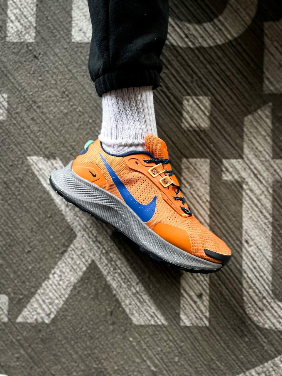 Nike air best sale pegasus trail