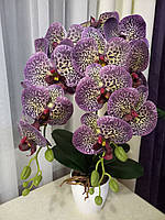 Латексные орхидеи для декора дома