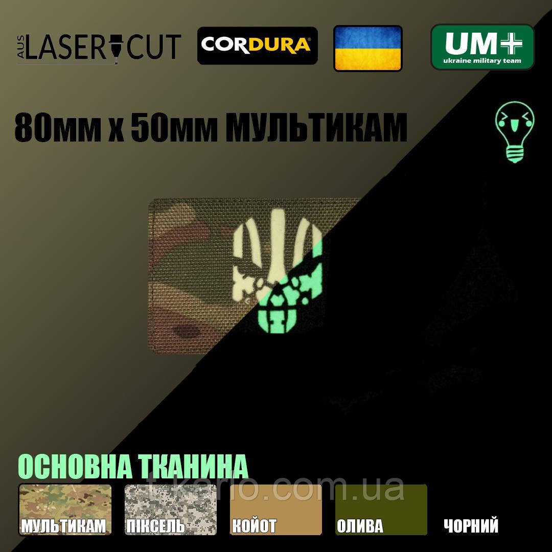 Шеврон на липучці Laser Cut UMT Герб каратель 80х50 мм Люмінісцентний/Мультикам