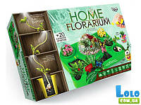 Набор для выращивания растений Home Florarium, Danko Toys (51003)