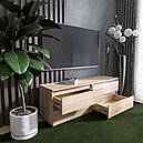 Тумба під телевізор у вітальню з ламінованої ДСП ЛТВ-1400 Лайт Еверест Дуб сонома, фото 2