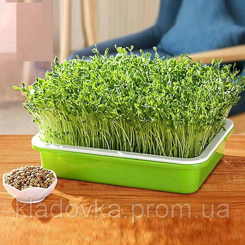 Лоток для Гидропонного Выращивания Рассады Кладовка — в Категории ...