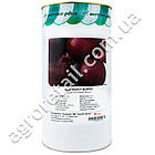 Буряк Бордо 237 500 г GSN Semences, фото 4