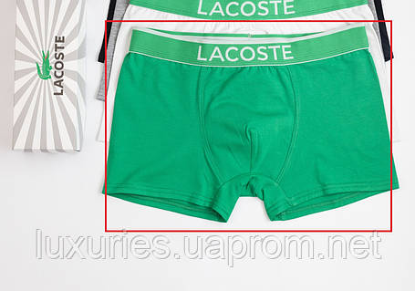 Lacoste Spring