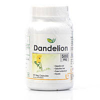 Кульбаба 500мг Dandelion 500 mg Biotrex 60 veg.capsules антиоксидант, детоксифікує печінку, допомагає травленню