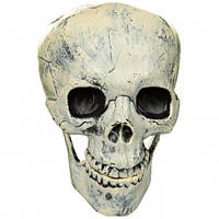 Искусственный череп декор на Хэллоуин 20х15х34 см Elisey (18911-002)