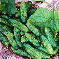 Насіння огірок Атлантіс ф1 15шт
