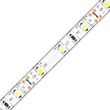 Світлодіодна стрічка Feron SANAN LS604 60SMD / м 12V IP65 синій, фото 3