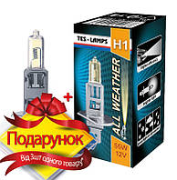 Автолампа H1 12 V 55 W P14.5s ALL WEATHER Tes-lamps