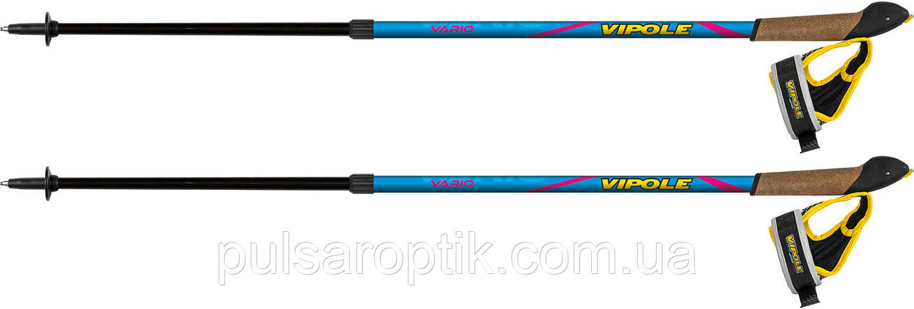 Палиці для скандинавської ходьби Vipole Vario Novice Blue/Violet (S20 34)