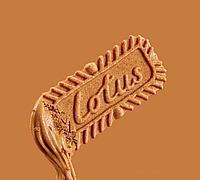 Печиво Lotus Biscoff 124 г (snack packs 8х2), Бельгія