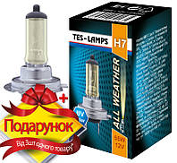 Автолампа H7 12V 55W PX26d ALL WEATHER Tes-lamps