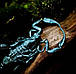 Підвіска - брелок " Скорпіон ", фото 2