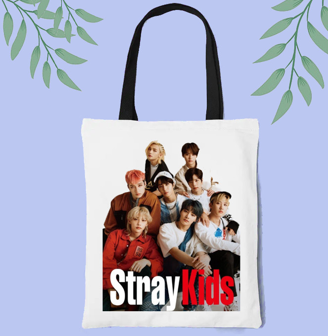 Сумка Стрей Кідс. Сумка Stray kids 04, фото 1