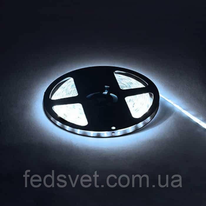 Світлодіодна стрічка вологозахищена 6400K 12V DC 72W/5m IP65