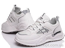Кросівки жіночі "Prime-Opt" Prime C-N2021-26 white-gray