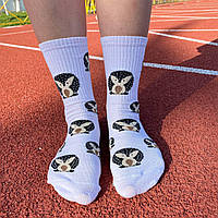 Женские носки высокие демисезонные прикольные с милым принтом Їжачок 1 пара 36-41 для женщин MS