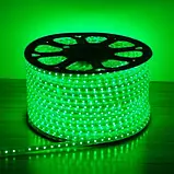 Світлодіодна стрічка 220V, 2835, 48 led/m, 5W, IP67, 350Lm, зелена, фото 4