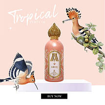 Attar Collection Areej парфумована вода 100 ml. (Аттар Колекшн Аредж), фото 4