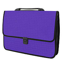 Портфель А4 1 отд. пластик Economix E31641-**_Фиолетовый