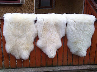 Овеча Шкура без запаху без дефектів без жиру