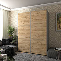 Шафа купе Doros G-Caiser Графіт / Дуб Евок 2 ДСП / 3 частини 180х60х240 (42005014), фото 4