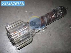 Шестерня ведуча МТЗ 1221 (вир-во МТЗ) 1221-2407540 UA56