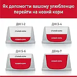 Сухий корм hill's SCIENCE PLAN Adult Small&Mini для собак ягня і рис,1,5 кг, фото 3