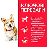 Сухий корм hill's SCIENCE PLAN Adult Small&Mini для собак ягня і рис,1,5 кг, фото 5