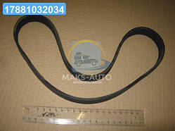 Ремінь 6PK-882 генератора ВАЗ 1118 Каліна (RIDER) 6PK 884 UA46