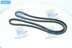 Ремінь AVX13х1775 зубч. ГАЗ 3308,66, ПАЗ 3205  AVX13x1775 UA46