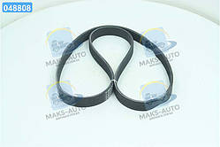 Ремінь 6РК-1230 генератора ГАЗ 3110 - ДВС 406 (Вир-во Bosch) 1 987 947 885 UA46