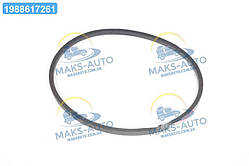 Ремінь 21х14х1650 ЗІЛ-130 (вир-во Rubena) 21х14-1650 UA56