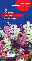 Шавлія Трибарвна однорічна клумбова, упаковка 0,25г